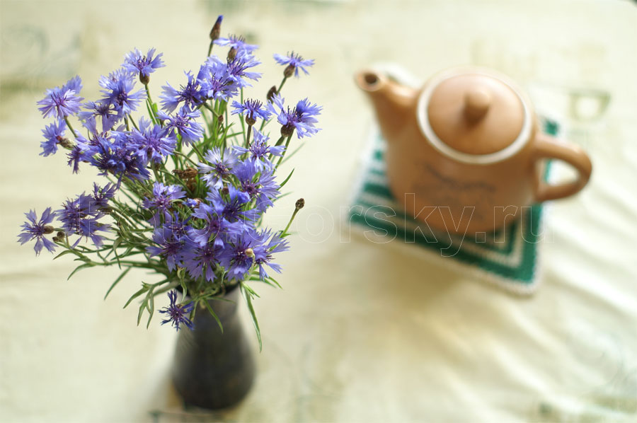 Васильки в вазе и чайник для чая